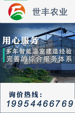 �������ҹ���