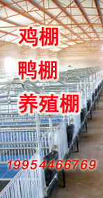 ��ֳ����