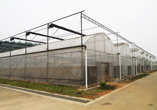 ������Ӧ�������ҹǼܻ�ӭɧ��ѯ��