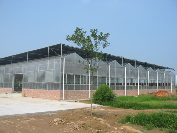 PC������������ҹ���