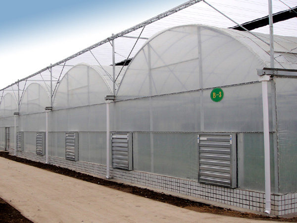 ��Ĥ�����߲˴��ﳧ��