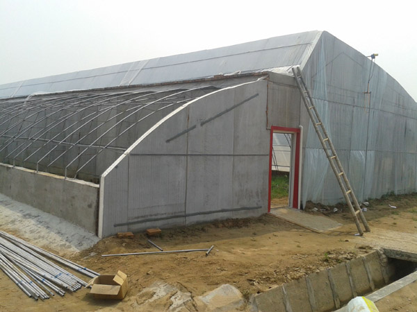 �������չ������߲˴���