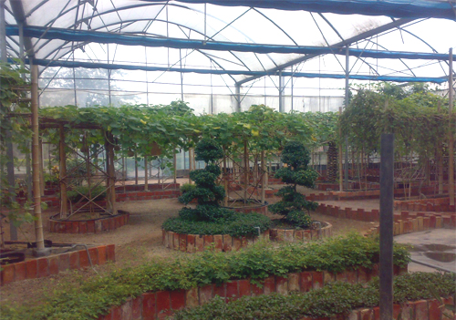 δ����-1 ����.jpg