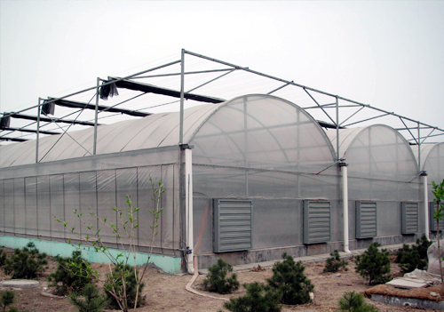 δ����-2 ����.jpg