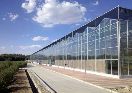 δ����-1 ����.jpg